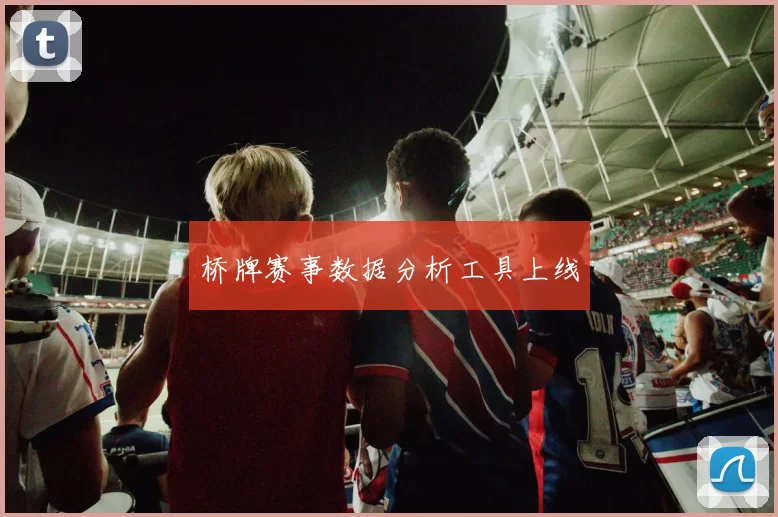 桥牌赛事数据分析工具上线