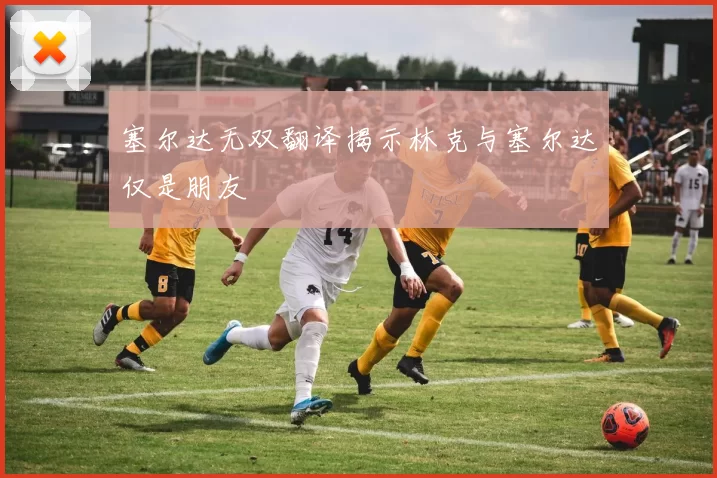 塞尔达无双翻译揭示林克与塞尔达仅是朋友