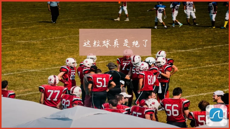 这粒球真是绝了