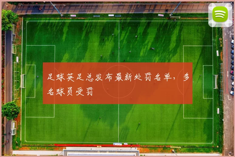 足球英足总发布最新处罚名单，多名球员受罚