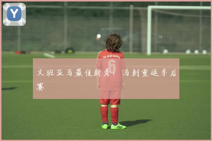 文班亚马最佳新秀，马刺重返季后赛