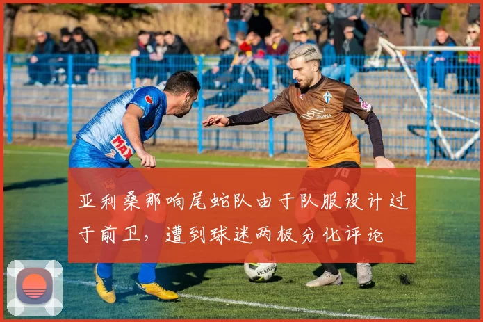 亚利桑那响尾蛇队由于队服设计过于前卫，遭到球迷两极分化评论
