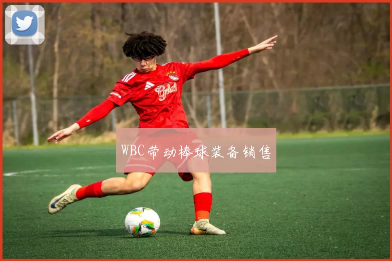 WBC带动棒球装备销售