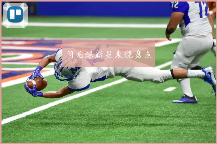 羽毛球新星表现盘点