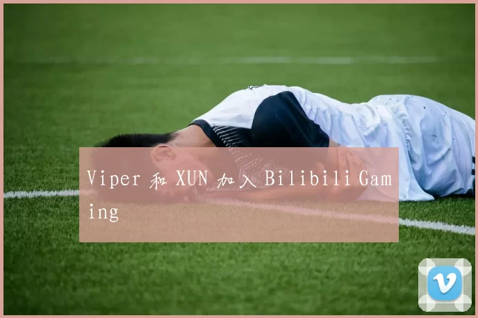 Viper 和 XUN 加入 Bilibili Gaming