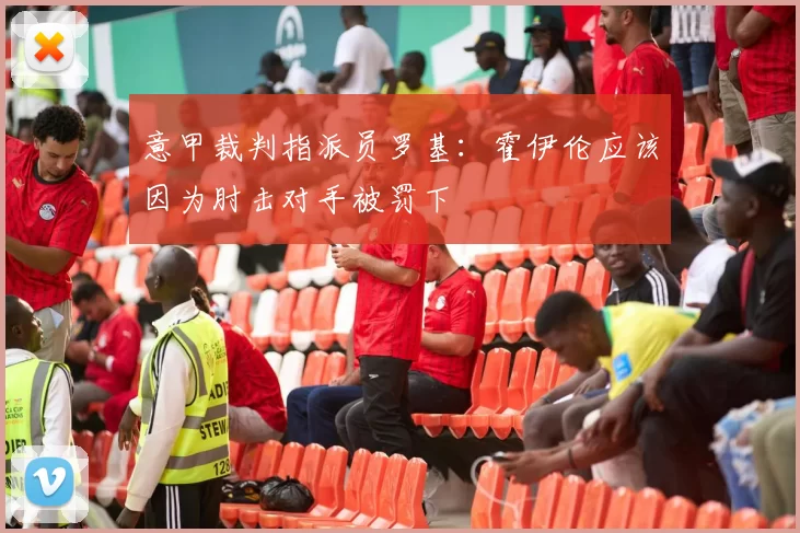 意甲裁判指派员罗基：霍伊伦应该因为肘击对手被罚下