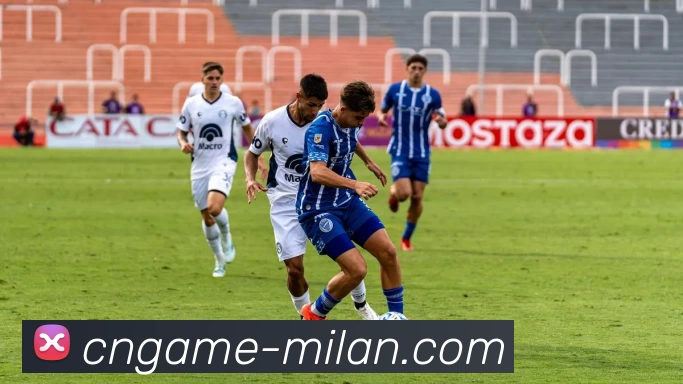 米兰体育app平台生态图